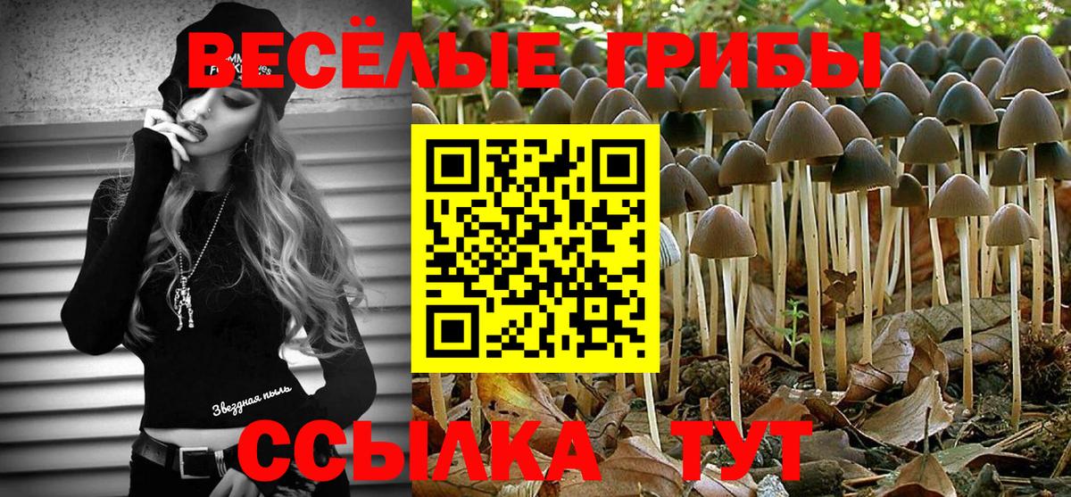 Усть-Илимск  Галлюциногенные грибы ЛСД  Вход с VPN 
