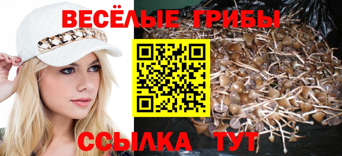 Псилоцибиновые грибы Psilocybe Усть-Илимск